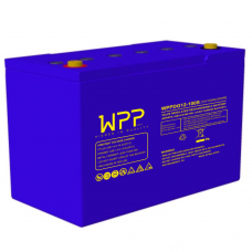 WPPDG12-100S AGM-JEL Derin Deşarj Akü